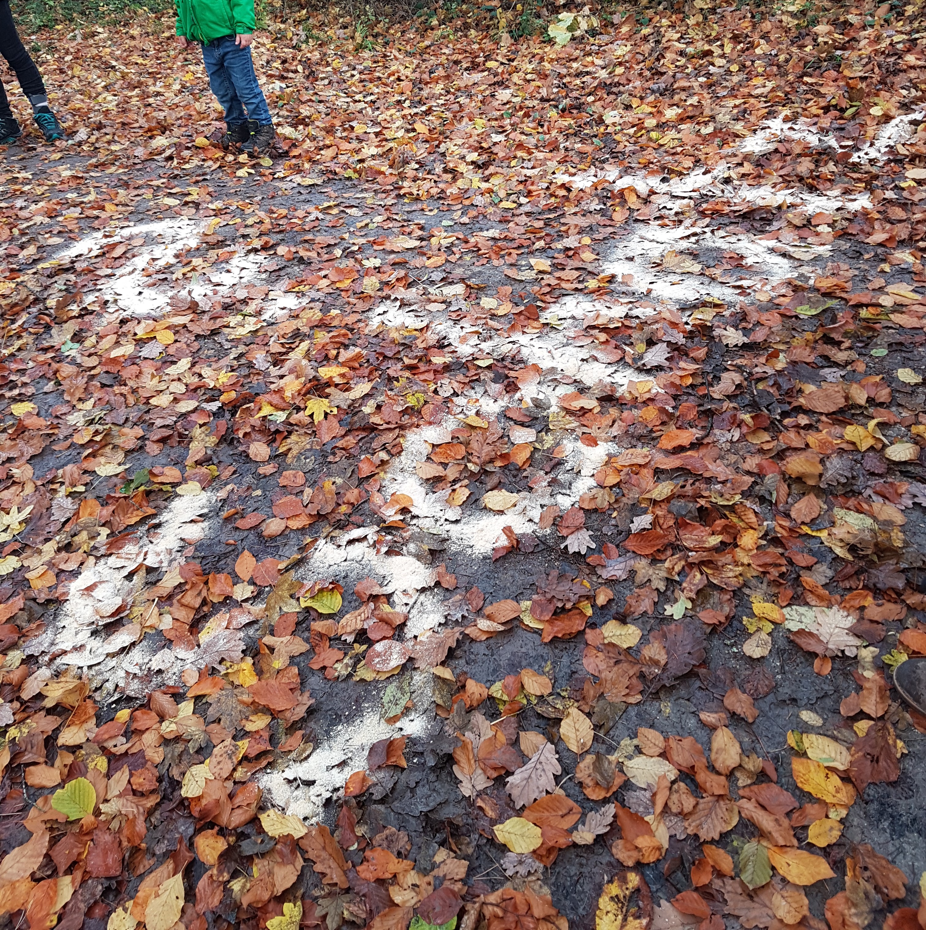 20231114 LA Schatzsuche